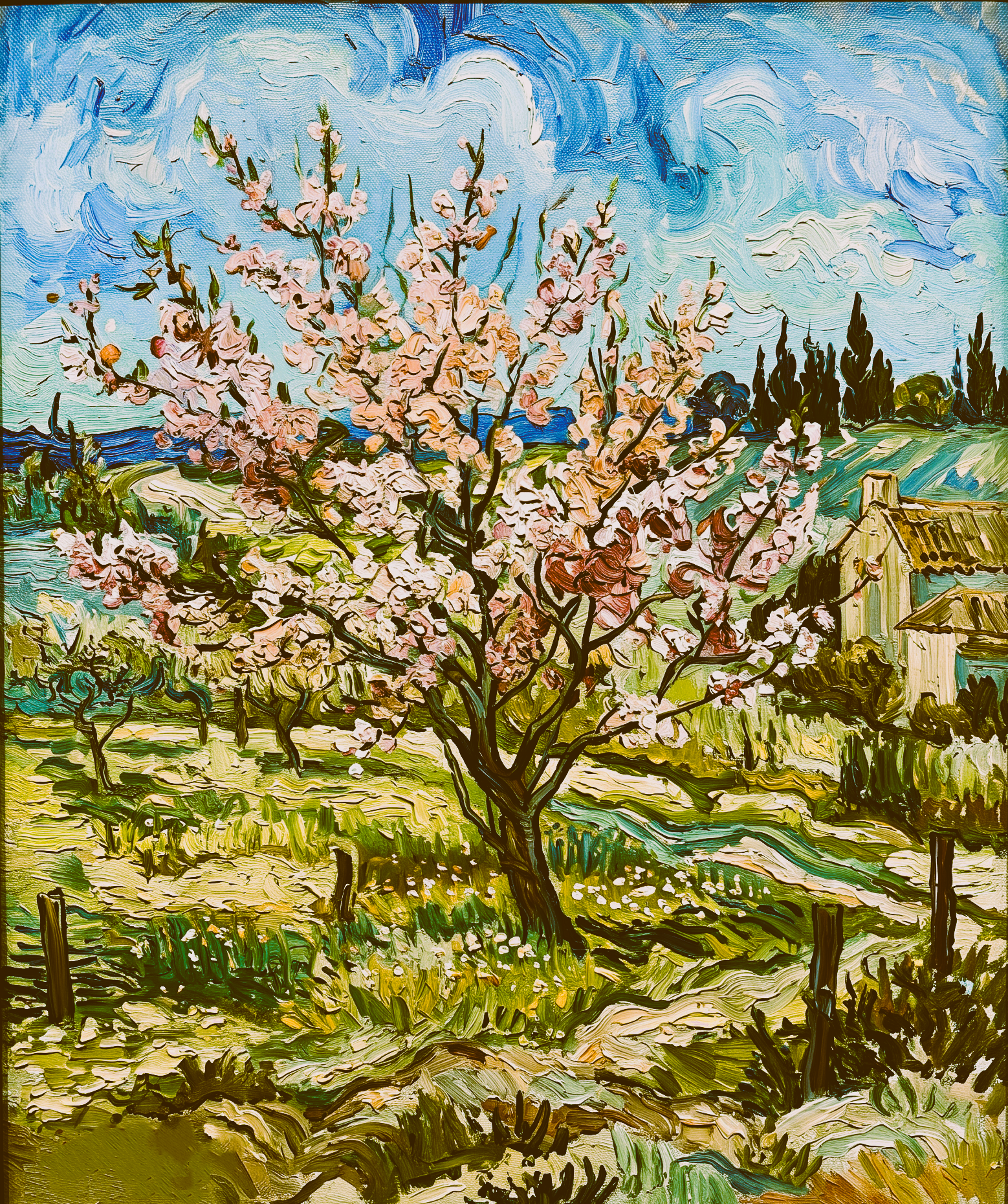 Pink Peach Tree